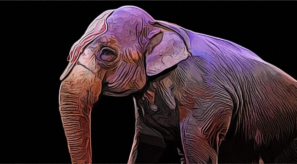 Zirkus ja, aber ohne Tiere