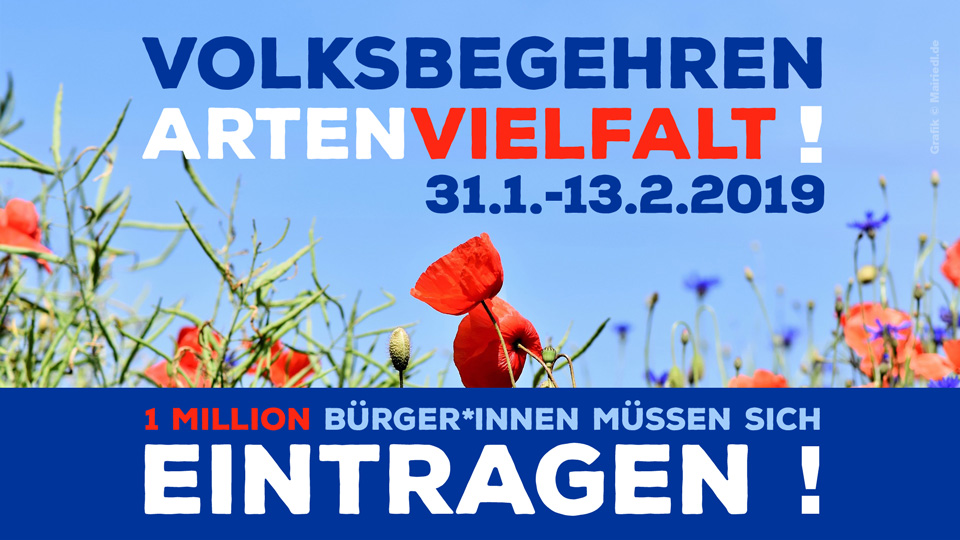 Volksbegehren Artenvielfalt - www.die muencherin.de