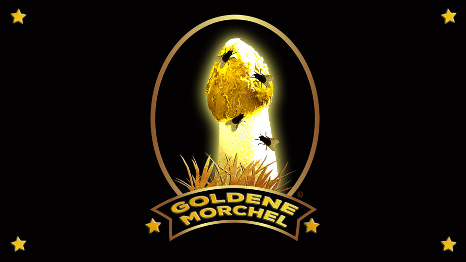 Goldene Morchel
